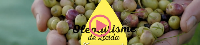 ⏯️ Experiències oleoturístiques a les 5 comarques productores d'oli de Lleida