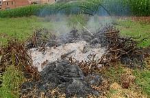 Agricultura tem que es descontroli el 'foc bacterià' després de 2 nous focus a la Noguera