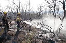 Un foc arrasa 15 ha de vegetació forestal i agrícola a Artesa de Segre