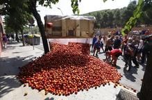 Lleida té emmagatzemats uns 47 milions de quilos de fruita de pinyol