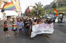 Arxiu manifestació drets lgtbi