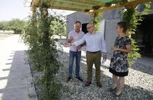 L’Arborètum incorpora un terrari amb plantes carnívores i una pèrgola