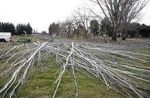 La Paeria traurà a concurs la gestió de les firetes a l’antiga Hípica