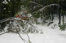 Els bombers evacuen set persones atrapades per les nevades en una casa rural de Coll de Nargó