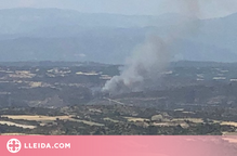 Els Bombers estabilitzen un incendi forestal a la Segarra, que ha afectat cinc hectàrees