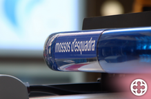 Un detingut per cinc robatoris a l'Eix Comercial de Lleida