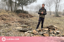 Neix la iniciativa 'Apadrina un conill de bosc' per millorar la biodiversitat del Pallars Jussà