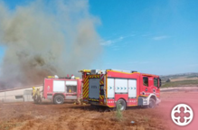 Un incendi en una granja de porcs de Seròs afecta 200 truges i 1.000 garrins