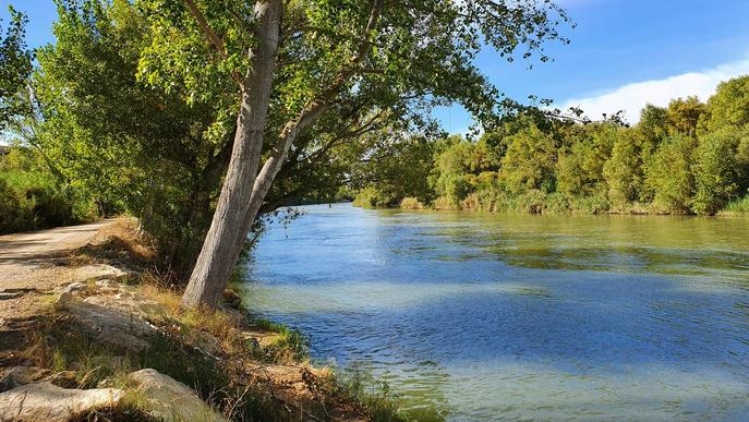 Infants de la Granja d'Escarp descobreixen el medi a l'aiguabarreig