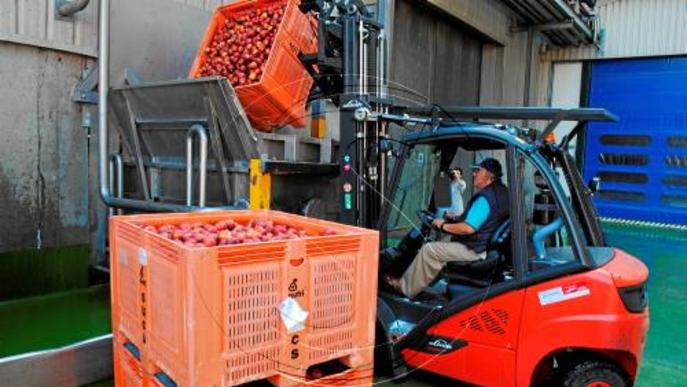 Brussel·les anuncia 125 milions més per a fruita i verdura vetada per Rússia