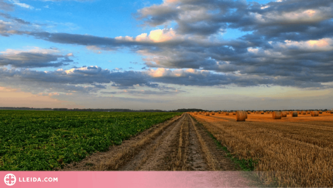 JARC demana la dimissió del secretari d'Agenda Rural per la seva "inacció" en el pagament dels ajuts de la PAC