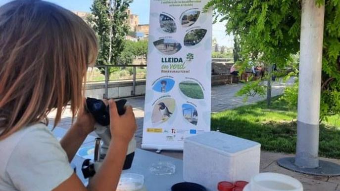 Les Ecoactivitats mostren els insectes aquàtics que habiten el riu Segre al seu pas per Lleida