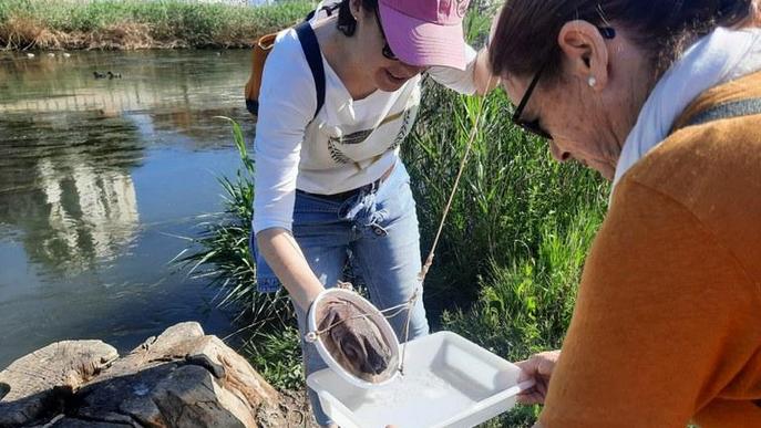 Les Ecoactivitats mostren els insectes aquàtics que habiten el riu Segre al seu pas per Lleida