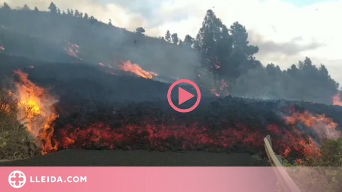 ⏯️ Evacuació massiva per l'erupció del volcà Cumbre Vieja a l'illa canària La Palma