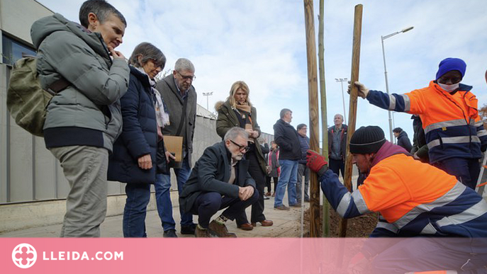 La Paeria plantarà més de 600 arbres a Lleida aquest hivern