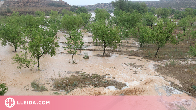 La tempesta de diumenge va descarregar pedra en unes 143 hectàrees del Segrià