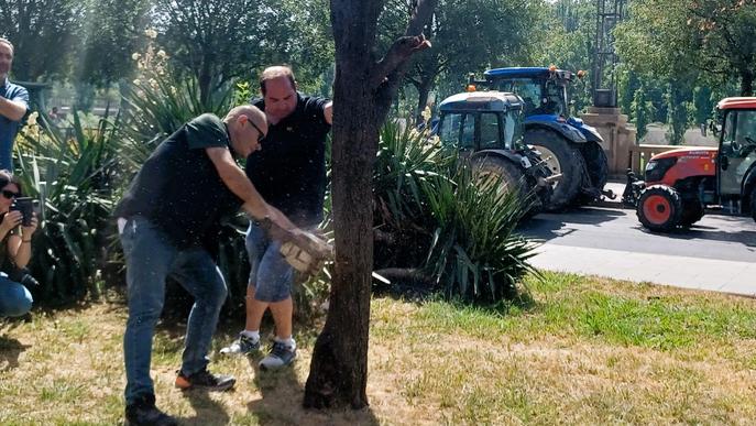 ⏯️ Un centenar de tractors es concentren a Lleida per exigir solucions davant la sequera